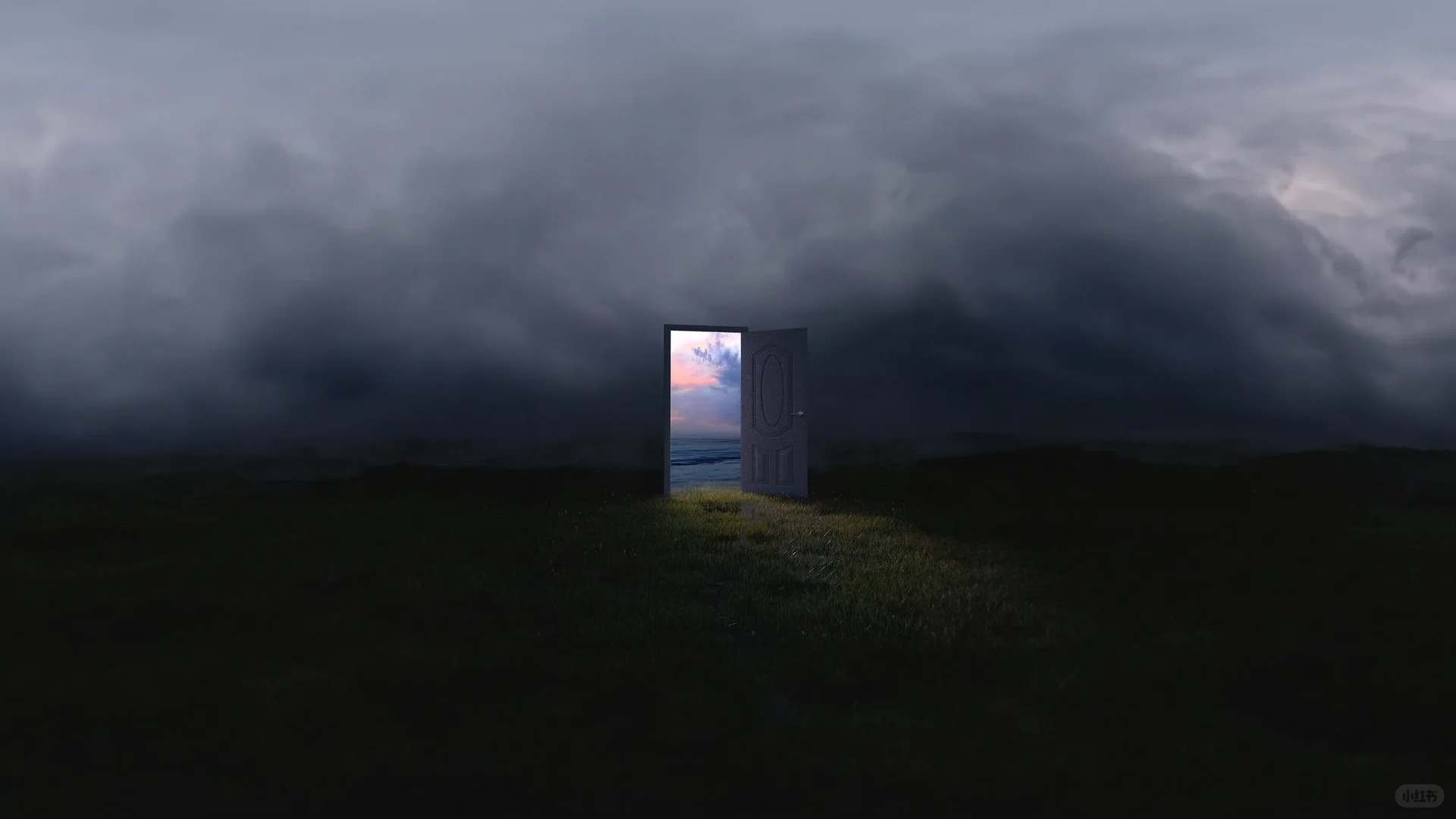 会跳舞的胡萝卜-鸡屁菇