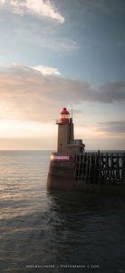 壁纸分享-鸡屁菇