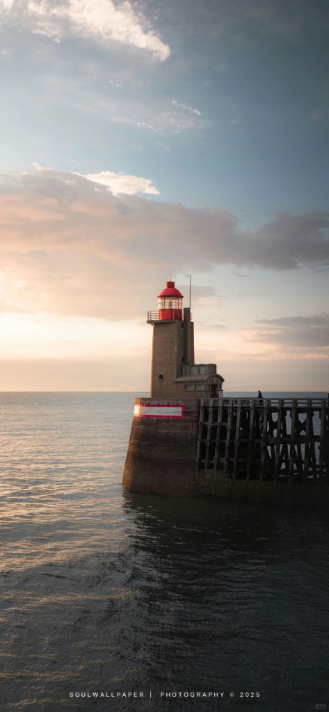 图片[1]-壁纸分享-鸡屁菇