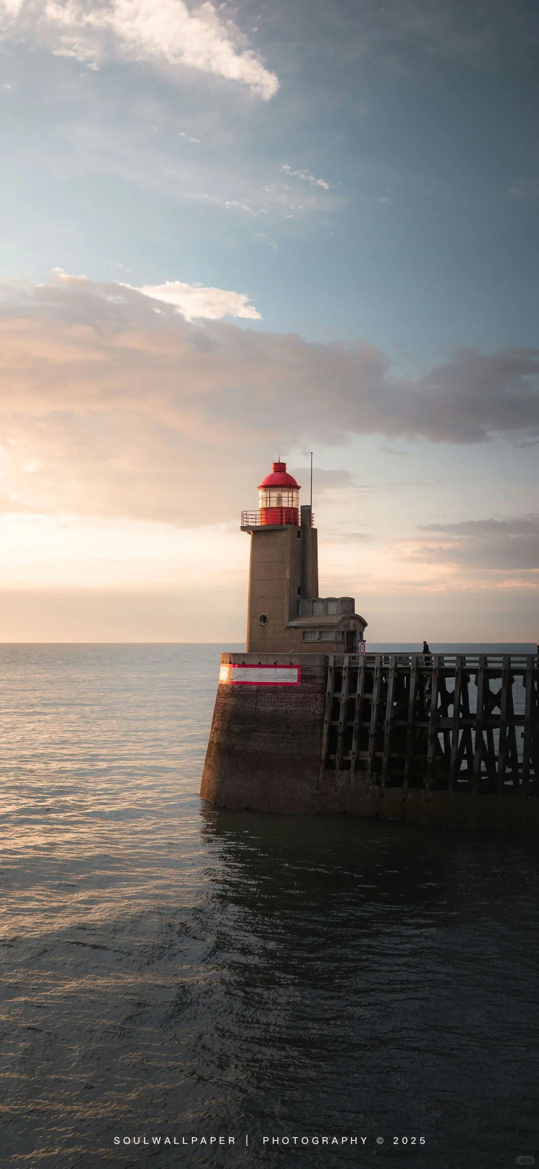 壁纸分享-鸡屁菇